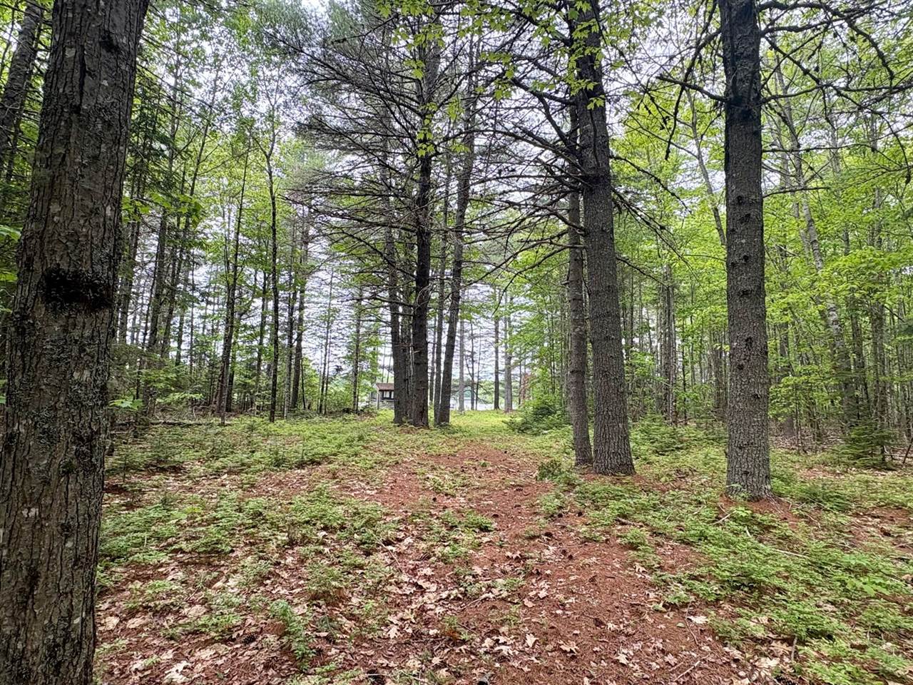 Map03Lot01 White Birch Lane, Passadumkeag, ME 04475