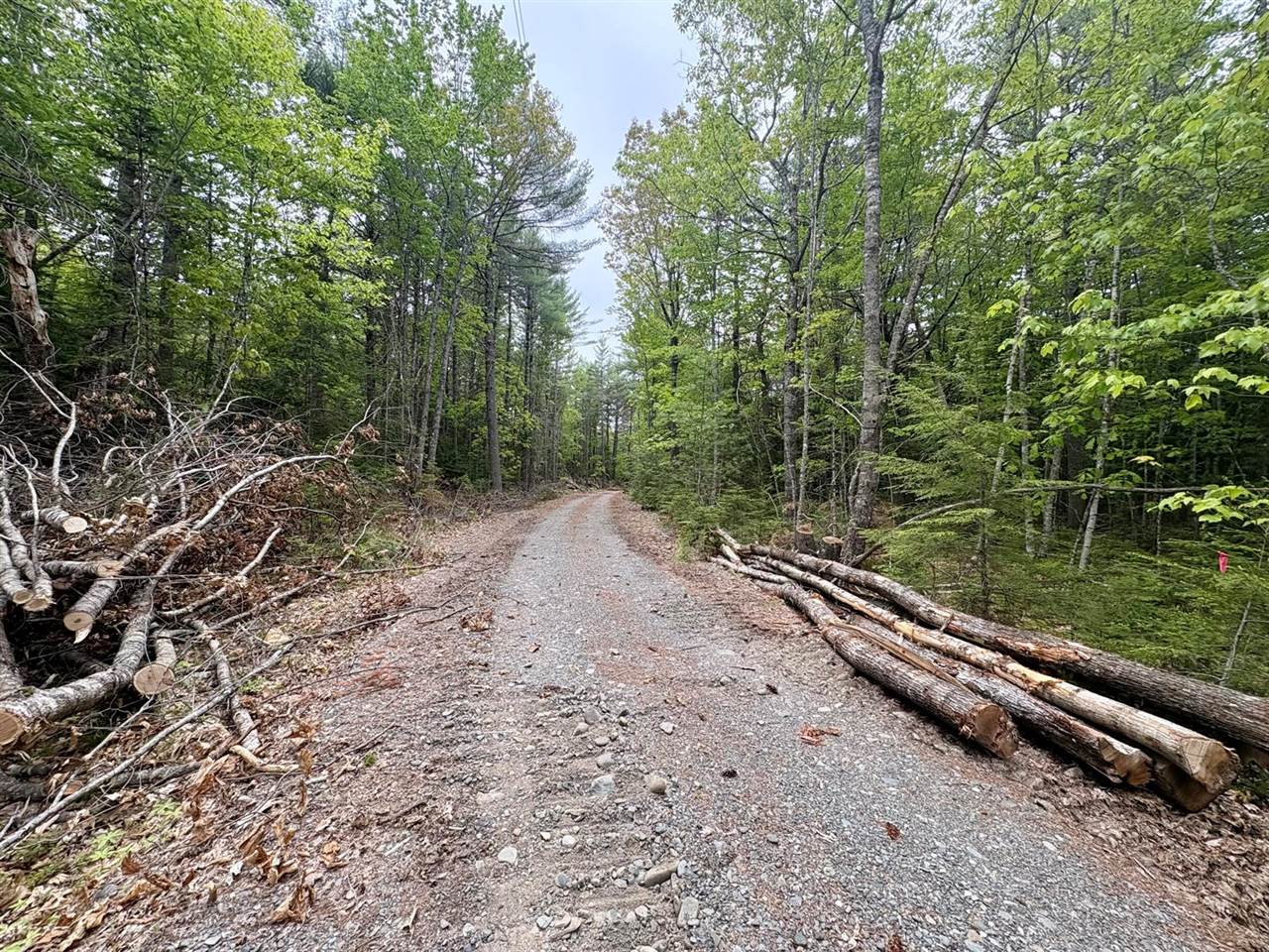 Map03Lot01 White Birch Lane, Passadumkeag, ME 04475