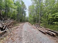 Map03Lot01 White Birch Lane, Passadumkeag, ME 04475