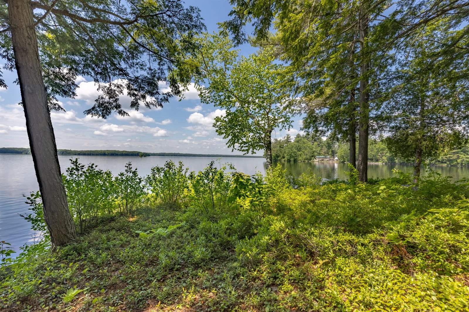 275 Birch Tree Drive, Hudson, ME 04449