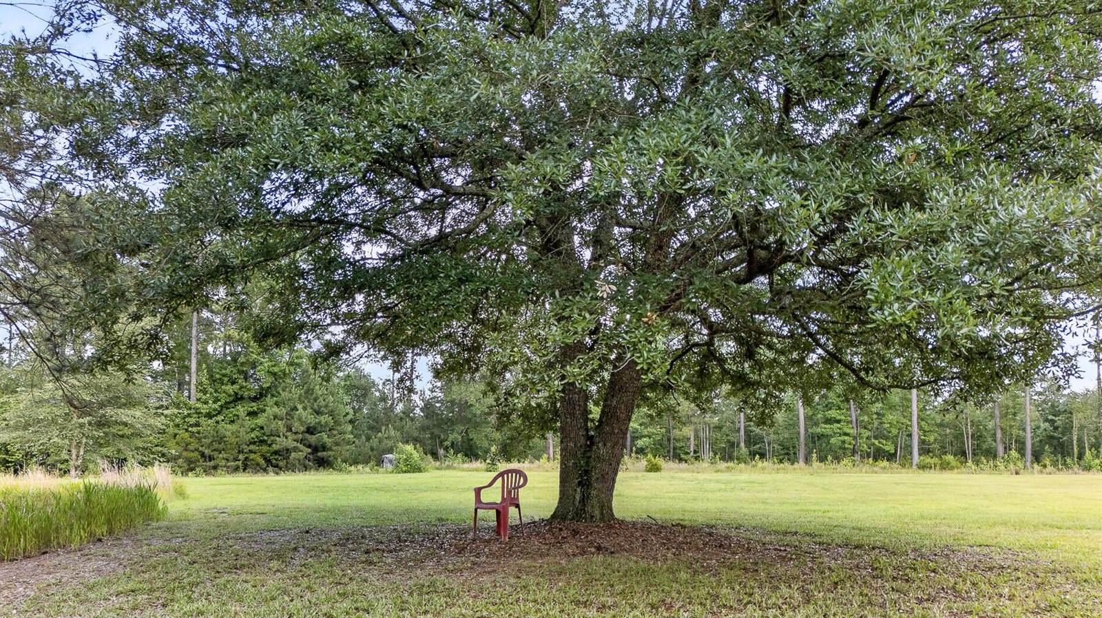 9166 Jefferies Highway, Walterboro, SC 29488