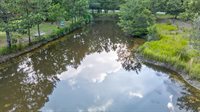 9166 Jefferies Highway, Walterboro, SC 29488