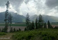 NNA This Way Rd Lot 2 (20 Acres), Bonners Ferry, ID 83805