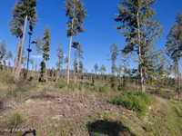 NNA This Way Rd Lot 2 (20 Acres), Bonners Ferry, ID 83805