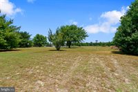 13899 Seashore Highway, Georgetown, DE 19947