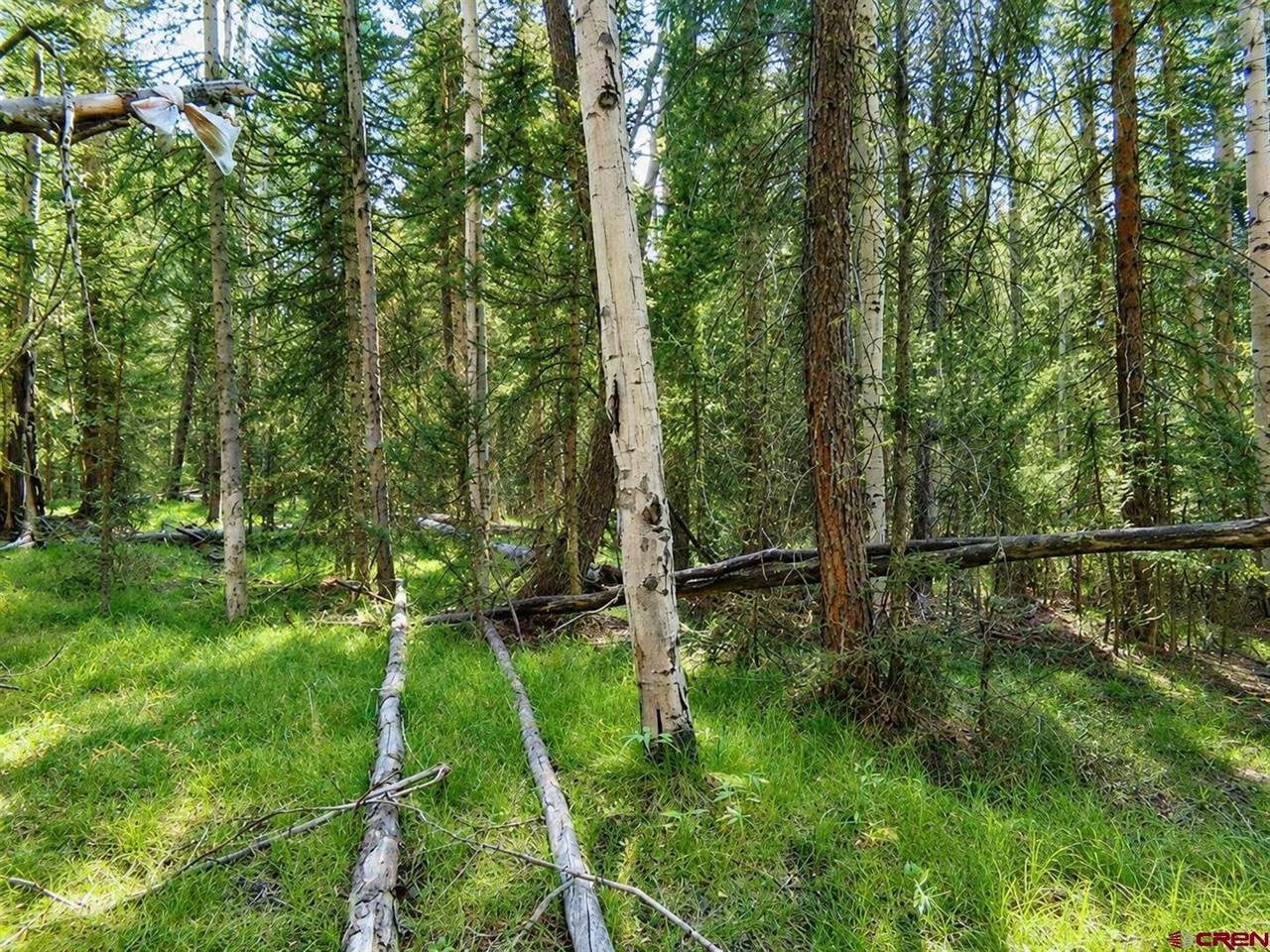 445 Aspen Trail, Cimarron, CO 81220
