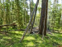 445 Aspen Trail, Cimarron, CO 81220