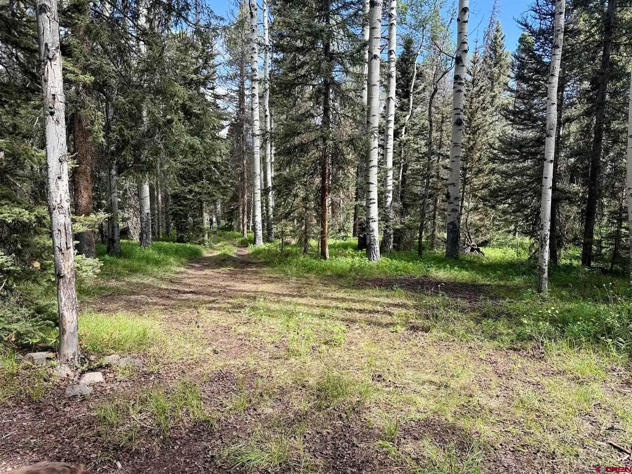 425 Aspen Trail, Cimarron, CO 81220