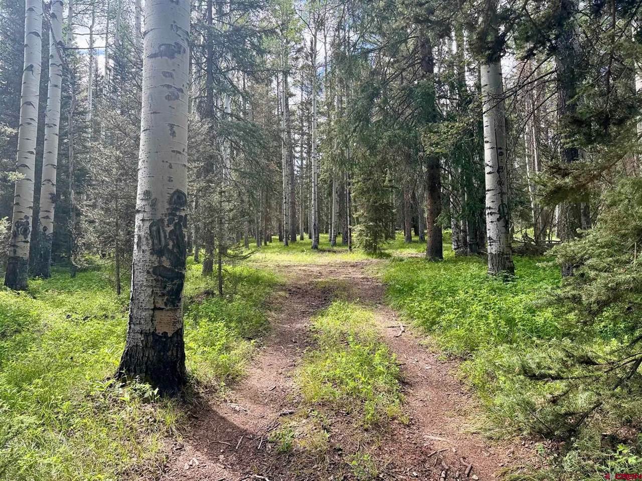 425 Aspen Trail, Cimarron, CO 81220