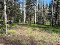 425 Aspen Trail, Cimarron, CO 81220
