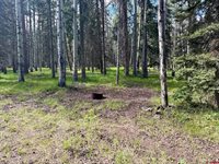 425 Aspen Trail, Cimarron, CO 81220