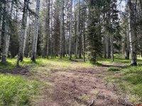 425 Aspen Trail, Cimarron, CO 81220