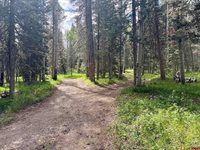 425 Aspen Trail, Cimarron, CO 81220