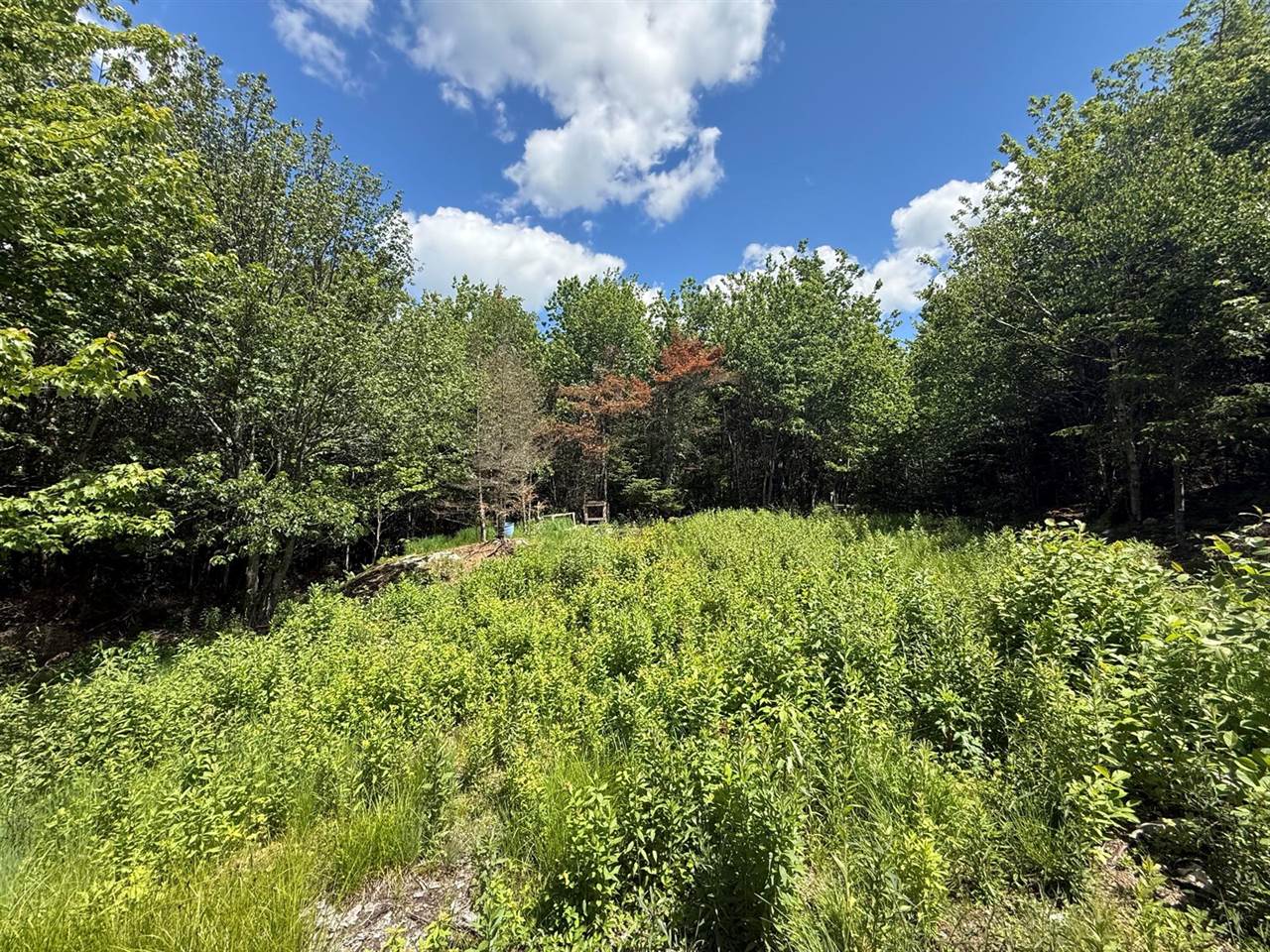 Lot 27 Lively Brook Acres, Whiting, ME 04691