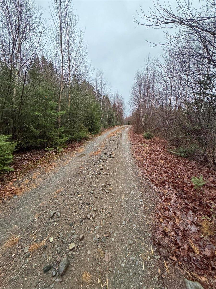 Lot 27 Lively Brook Acres, Whiting, ME 04691