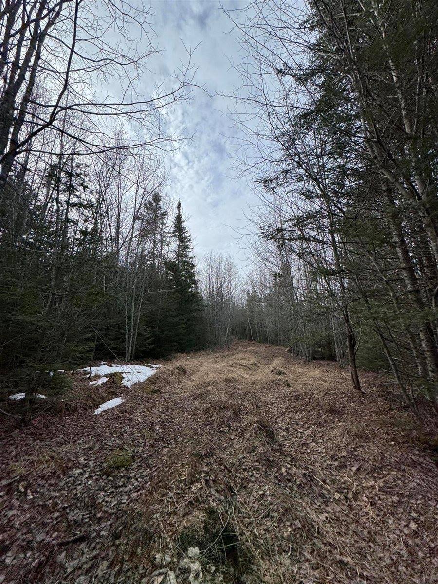 Lot 27 Lively Brook Acres, Whiting, ME 04691