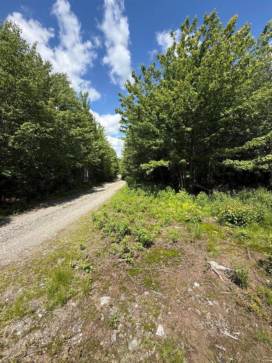 Lot 27 Lively Brook Acres, Whiting, ME 04691