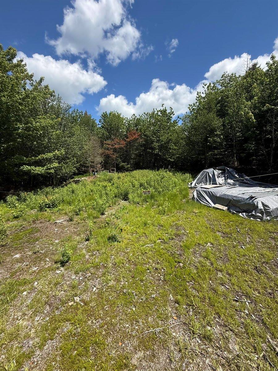 Lot 27 Lively Brook Acres, Whiting, ME 04691