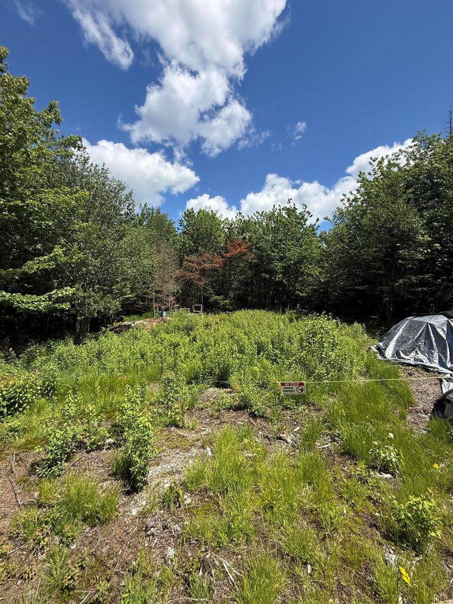 Lot 27 Lively Brook Acres, Whiting, ME 04691
