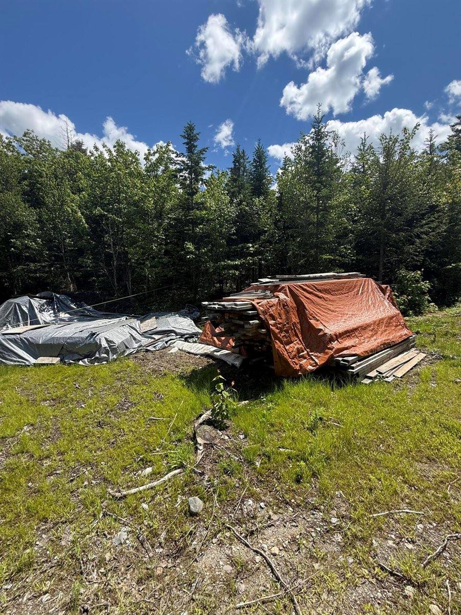 Lot 27 Lively Brook Acres, Whiting, ME 04691