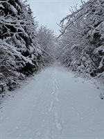 Lot 27 Lively Brook Acres, Whiting, ME 04691