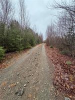 Lot 27 Lively Brook Acres, Whiting, ME 04691
