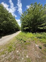 Lot 27 Lively Brook Acres, Whiting, ME 04691