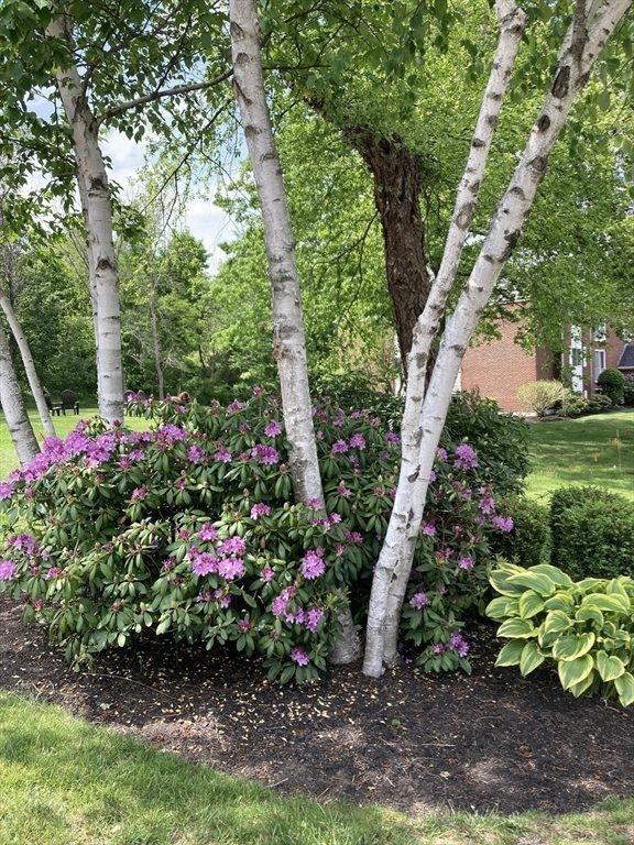 21 Clarks Rd, Amesbury, MA 01913