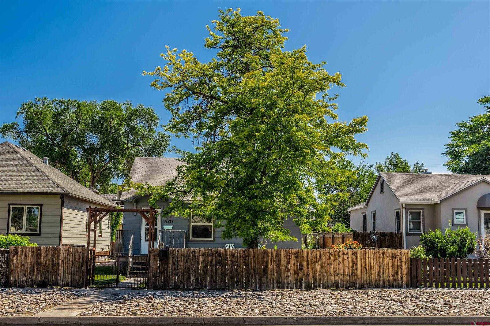 530 N Park Avenue, Montrose, CO 81401