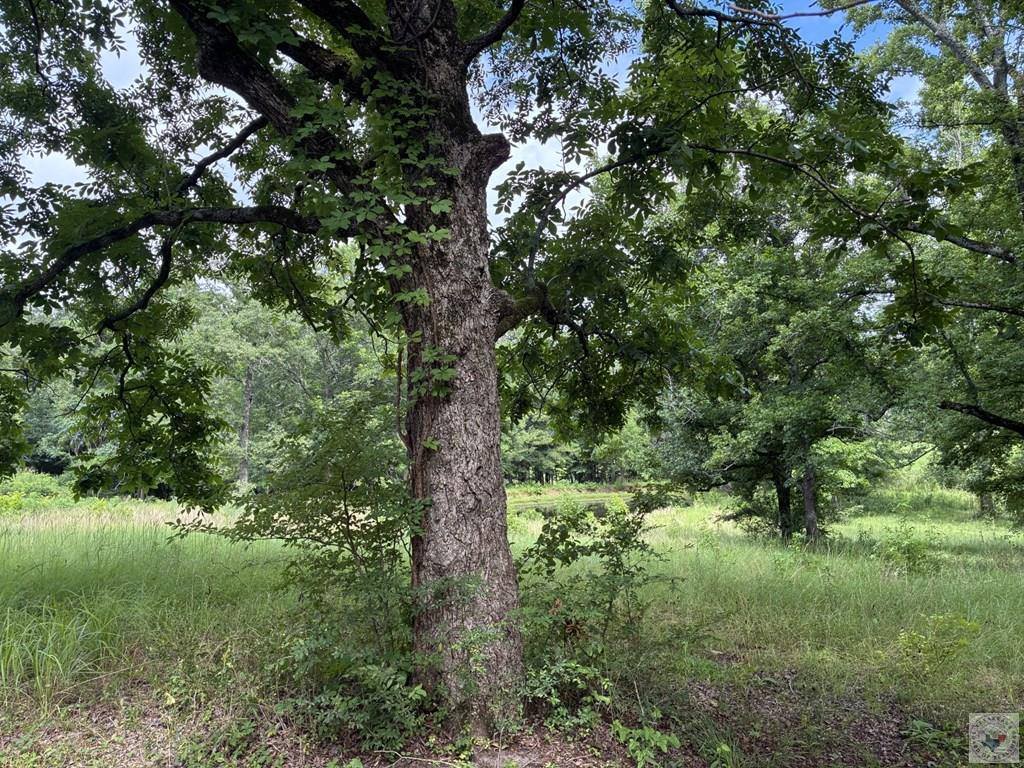 5 Acres Smith Rd, Texarkana, AR 71854
