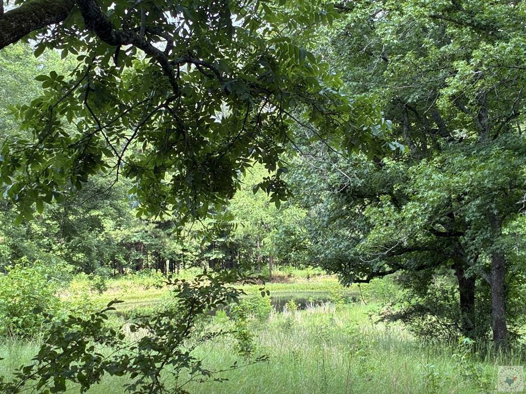 5 Acres Smith Rd, Texarkana, AR 71854