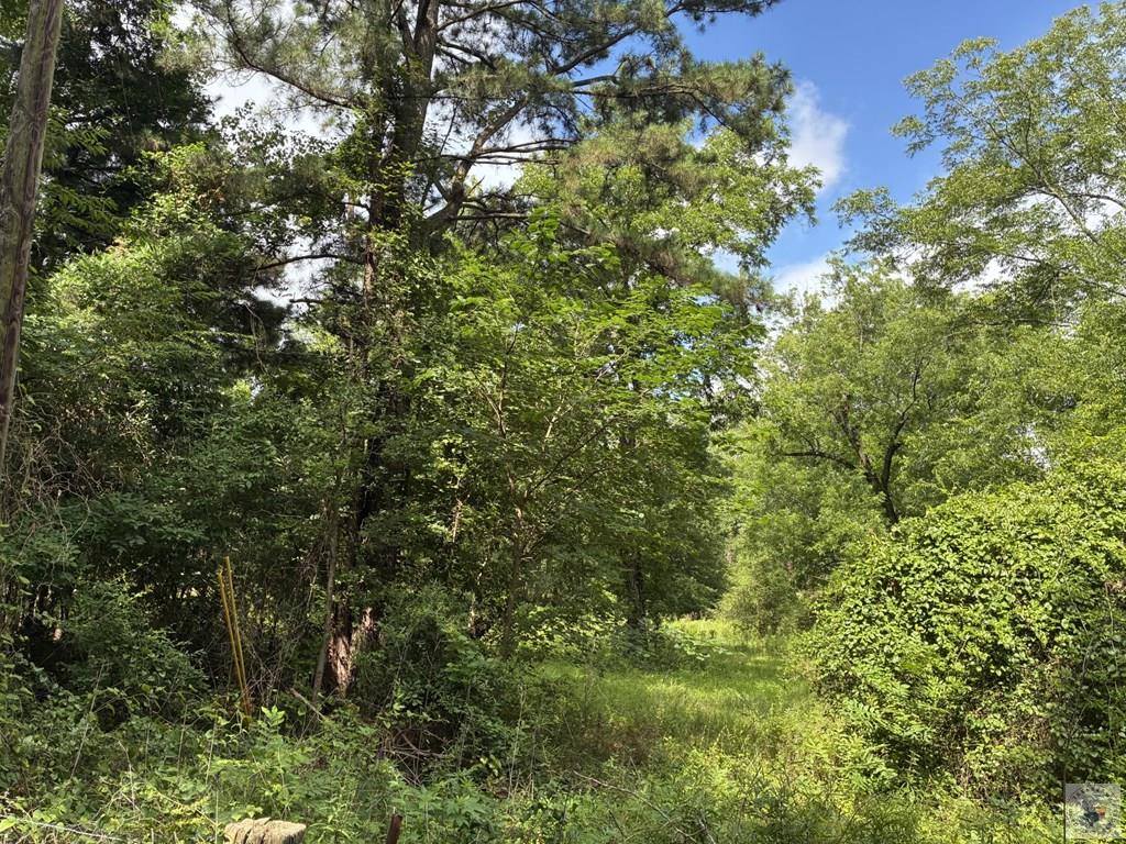 5 Acres Smith Rd, Texarkana, AR 71854