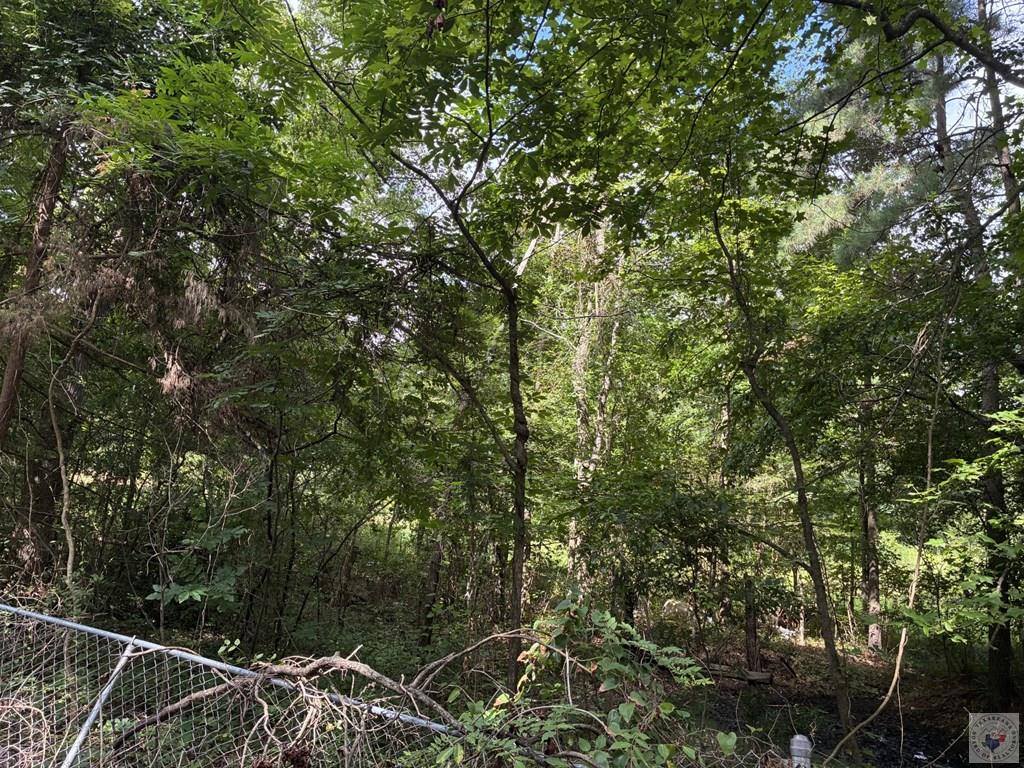 5 Acres Smith Rd, Texarkana, AR 71854