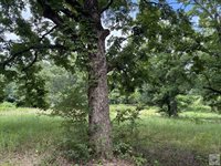 5 Acres Smith Rd, Texarkana, AR 71854