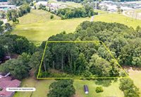 0 Acres Drive, Ladson, SC 29456