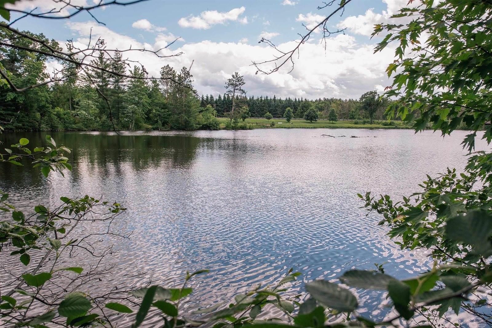 N4342 Snyder Lake Road, Neillsville, WI 54456