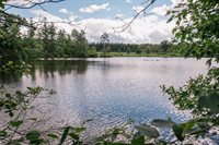 N4342 Snyder Lake Road, Neillsville, WI 54456