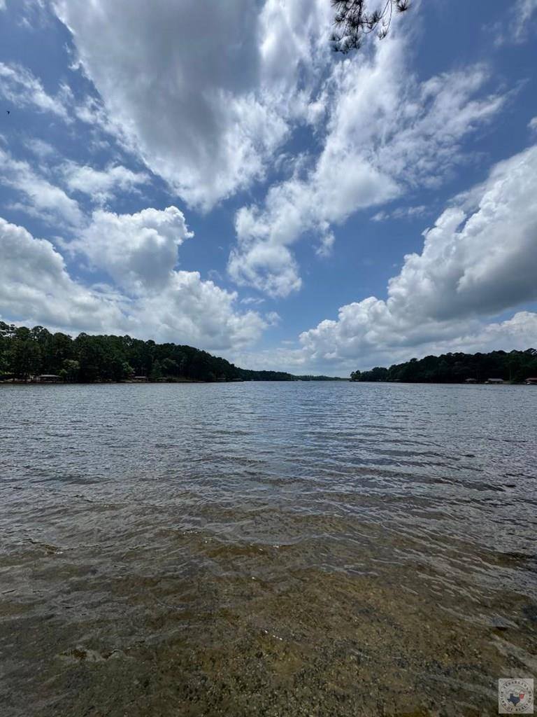178 Pine Needle Glen, Holly Lake Ranch, TX 75675