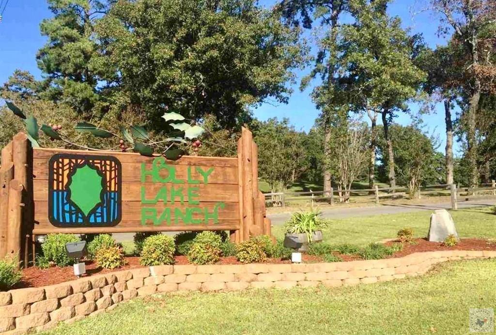 178 Pine Needle Glen, Holly Lake Ranch, TX 75675