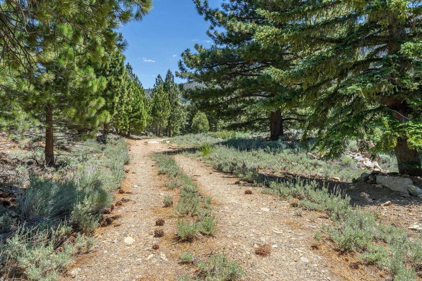 81 Cargill Drive, Bridgeport, CA 93517