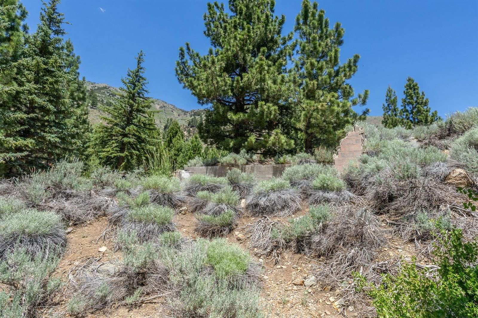 81 Cargill Drive, Bridgeport, CA 93517