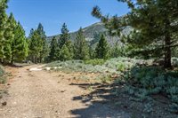 81 Cargill Drive, Bridgeport, CA 93517
