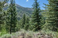 81 Cargill Drive, Bridgeport, CA 93517