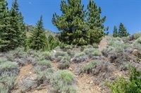 81 Cargill Drive, Bridgeport, CA 93517