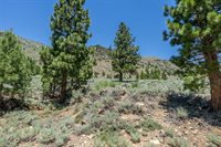 81 Cargill Drive, Bridgeport, CA 93517