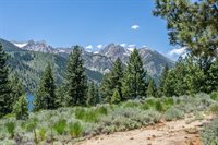 81 Cargill Drive, Bridgeport, CA 93517