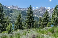 81 Cargill Drive, Bridgeport, CA 93517