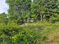 7291 Nc Highway 65, Belews Creek, NC 27009