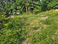 7291 Nc Highway 65, Belews Creek, NC 27009