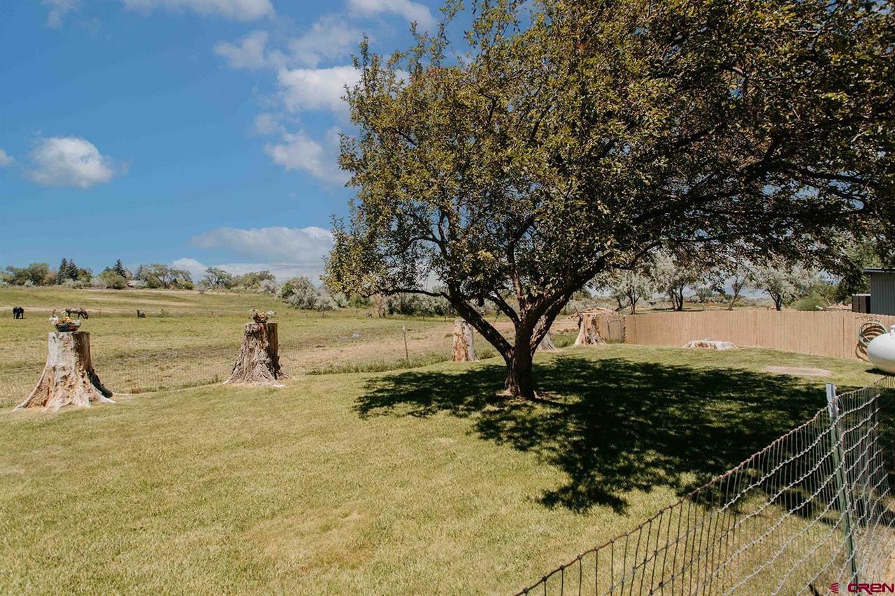 14679 5875 Road, Montrose, CO 81403